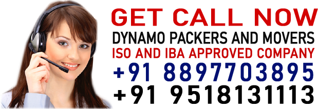 Dynamo Packers and Movers logo