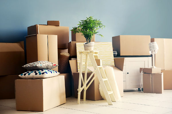 Dynamo Packers and Movers