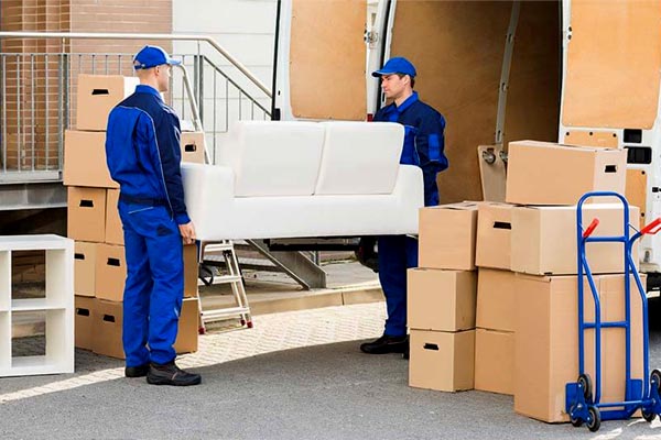 Dynamo Packers and Movers