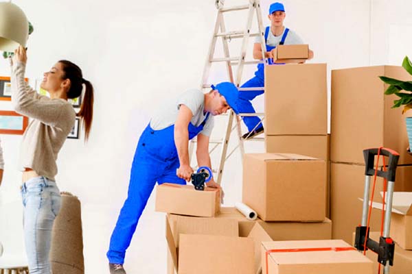 Dynamo Packers and Movers